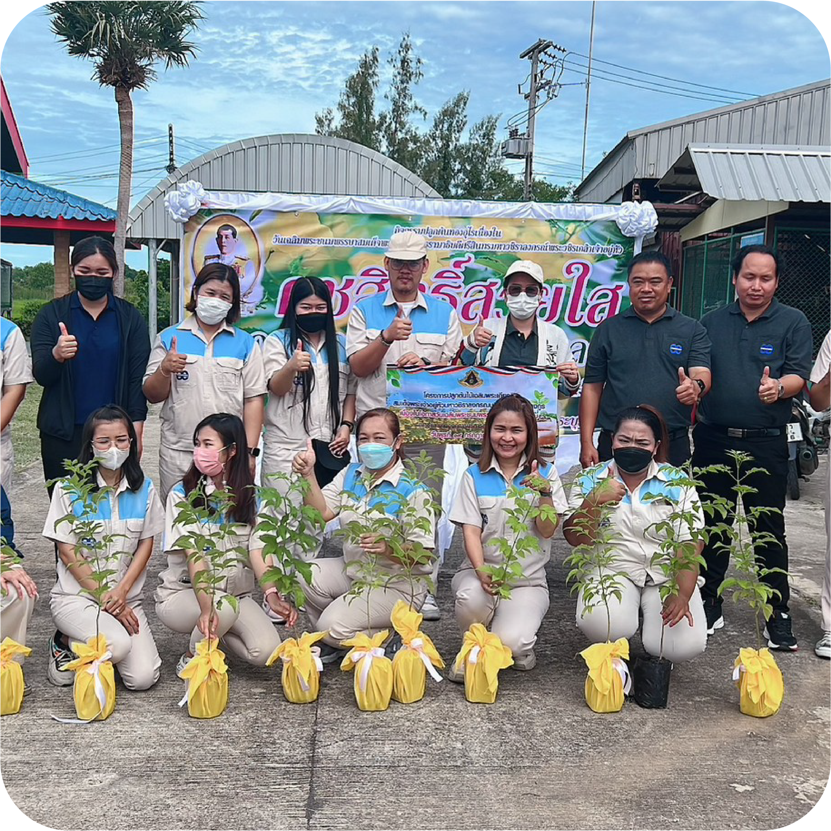 Tree Plantation Activity